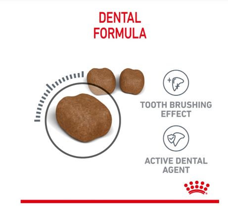 Royal Canin Feline Dental Care
