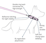 EzyDog Collar Double Up - Black