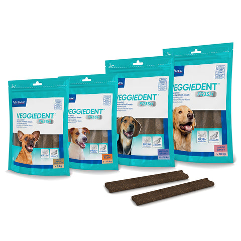 Veggiedent® FR3SH™ Dental Chews