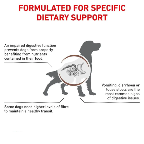 Royal Canin Dog Gastrointestinal High Fibre Loaf Wet Food Can 410g