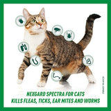 NEXGARD SPECTRA Spot-on Solution for Large Cats 2.5kg - 7.4kg