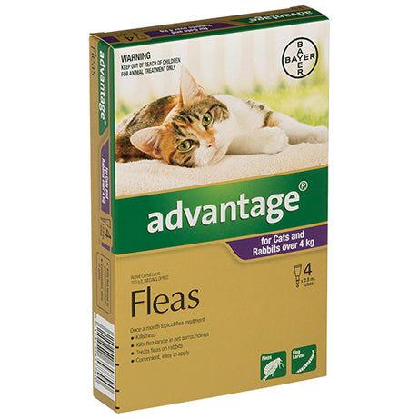 Advantage for Cats over 4Kg Flea & Worm