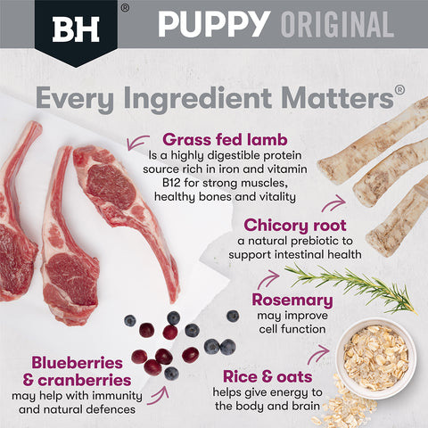 Black Hawk Puppy Food for Medium Breeds – Original Lamb & Rice 10kg