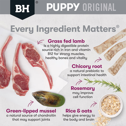 Black Hawk Puppy Food for Large Breeds – Original Lamb & Rice