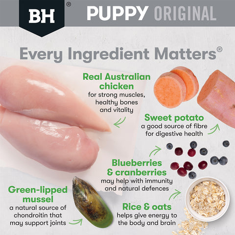 Black Hawk Puppy Food for Large Breeds – Original Chicken & Rice 20kg