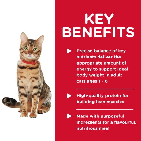 Hill's Science Diet Feline Adult Healthy Cuisine Chicken & Rice Medley 79g