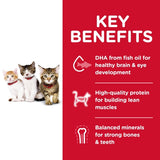 Hill's Science Diet Feline Kitten Dry Food