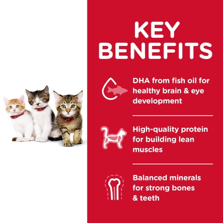 Hill's Science Diet Feline Kitten Dry Food