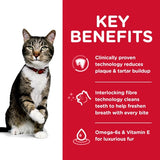 Hill's Science Diet Feline Adult Oral Care Dry Food