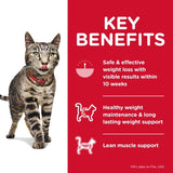 Hill's Science Diet Feline Adult Perfect Weight Dry Food