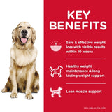 Hill's Science Diet Adult Perfect Weight Dry Dog Food