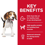 Hill's Science Diet Puppy Dry Dog Food