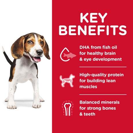 Hill's Science Diet Puppy Dry Dog Food