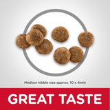 Hill's Science Diet Puppy Dry Dog Food