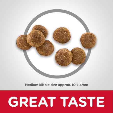 Hill's Science Diet Puppy Dry Dog Food