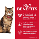 Hill's Science Diet Feline Adult Sensitive Stomach & Skin Dry Food