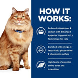 Hill's Prescription Diet k/d Kidney + j/d Mobility Care Dry Cat Food 2.88kg