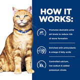 Hill's Prescription Diet c/d Multicare Urinary Care Salmon Cat Food Pouches