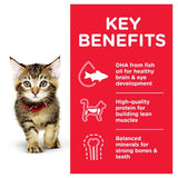 Hill's Science Diet Feline Kitten Chicken Food 12 x 85g sachets