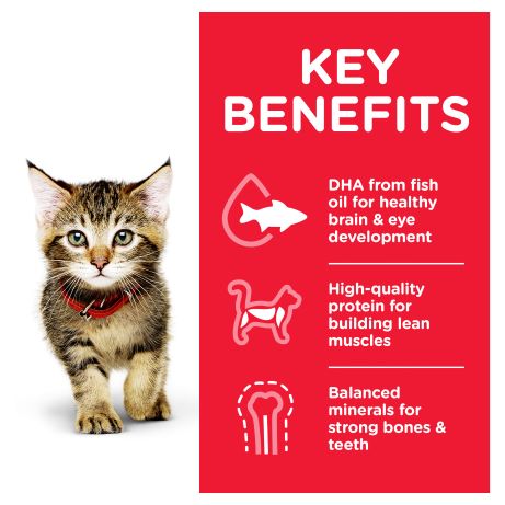 Hill's Science Diet Feline Kitten Chicken Food 12 x 85g sachets