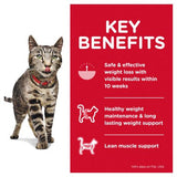 Hill's Science Diet Feline Adult Perfect Weight Chicken Food 12 x 85g sachets