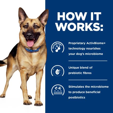 Hill's Prescription Diet Gastrointestinal Biome Digestive Fibre Care with Chicken Dry Dog Food