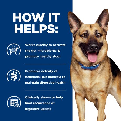 Hill's Prescription Diet Gastrointestinal Biome Digestive Fibre Care with Chicken Dry Dog Food