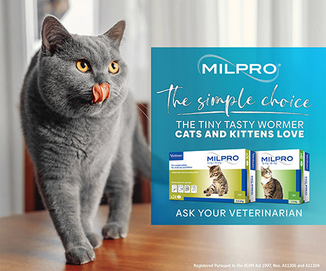 Milpro Adult Cat Wormer