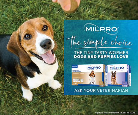 Milpro Dog Worming Tablets