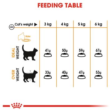 Royal Canin Cat Hair & Skin