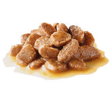Royal Canin Mini Adult (in Gravy) 85g x 12 Sachets