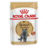 Royal Canin British Shorthair Adult Cat (in Gravy) 85g x 12 Sachets