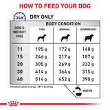 Royal Canin Dog Dental 6kg
