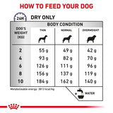 Royal Canin Dental Small Dog