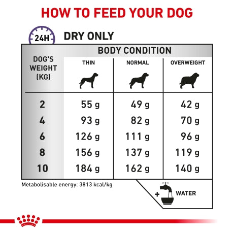 Royal Canin Dental Small Dog