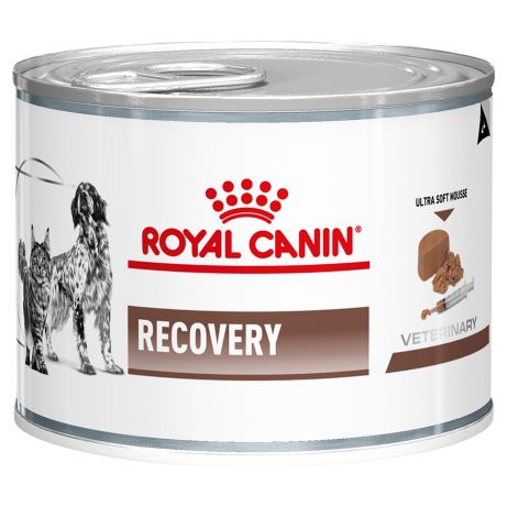 Royal Canin Cat & Dog Recovery 195gm Can x 12 Tray