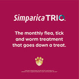 Simparica TRIO Puppy 1.25-2.25kg - 1 Chew