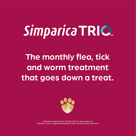 Simparica TRIO Puppy 1.25-2.25kg - 1 Chew