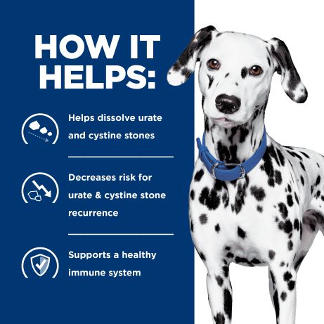 Hill's Prescription Diet u/d Urinary Care Canned Dog Food 370g Can