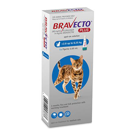 Bravecto Plus Spot-On For Medium Cats 2.8 to 6.25kg