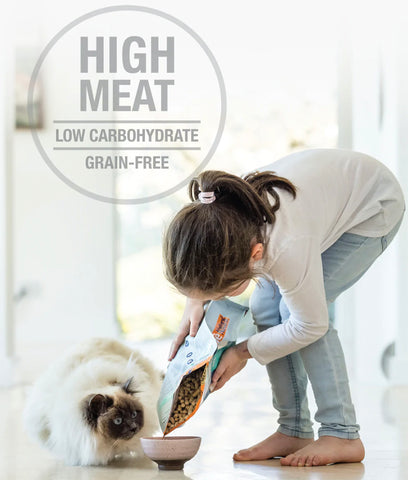 Feline Natural Chicken & Lamb Feast 320g