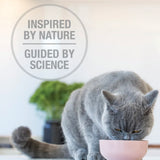 Feline Natural Beef and Hoki Feast 320g