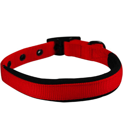 Yours Droolly Collar Foam Large Pet Accessories