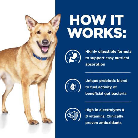 Hill's Prescription Diet i/d Digestive Care Canned Dog Food 360g can