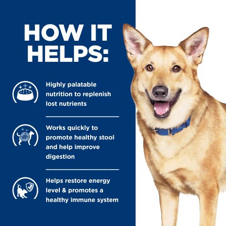 Hill's Prescription Diet i/d Digestive Care Canned Dog Food 360g can
