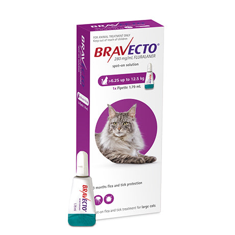 Bravecto Spot-On Large Cat 6.25-12.5kg