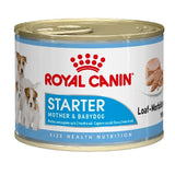 Royal Canin Starter Mother and Babydog Can 195g x 12 Tray