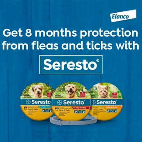 Seresto Flea & Tick Collar for Kittens & Cats