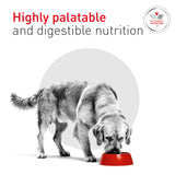 ROYAL CANIN® VETERINARY DIET Glycobalance Wet Dog Food Can 410g