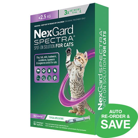 NEXGARD SPECTRA Spot-on Solution for Small Cats & Kittens Under 2.5kg
